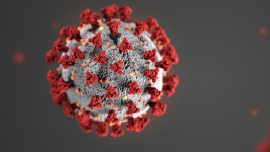 CDC coronavirus crown shape