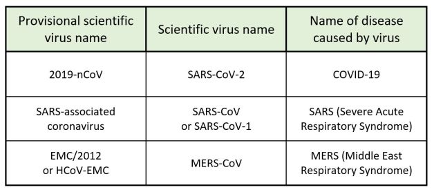 Names viruses and diseases